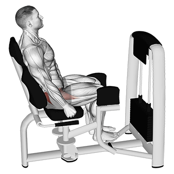 Man doing Seated Hip Abduction Machine