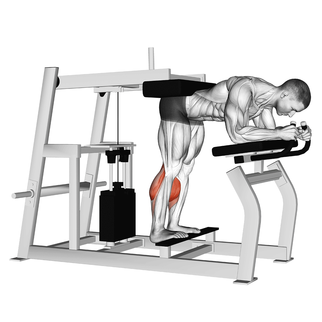 Man doing Donkey Calf Raises