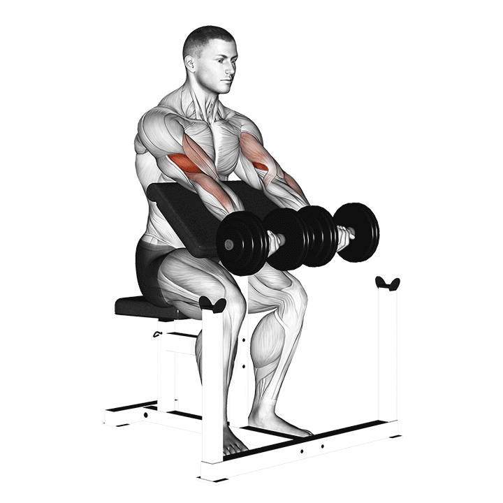 Man doing Dumbbell Preacher Curl