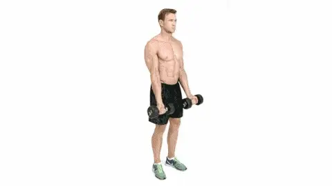 Man doing Dumbbell Zottman Curl