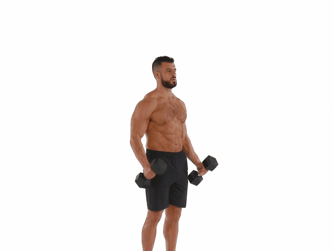 Man doing Hammer Curls with dumbbells