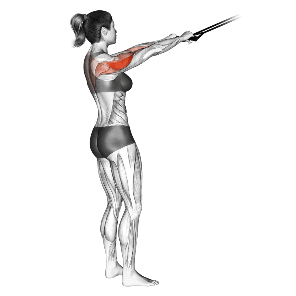 Woman doing Cable Face Pulls