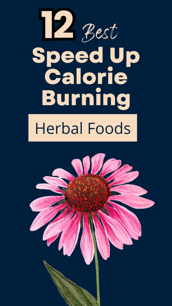 12 Herbal Foods That Speed Up Calorie Burning