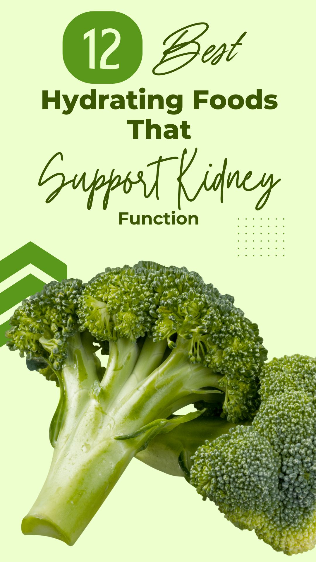 1. 12 Hydrating Foods That Support Kidney Function 1. 12 Hydrating Foods That Support Kidney Function