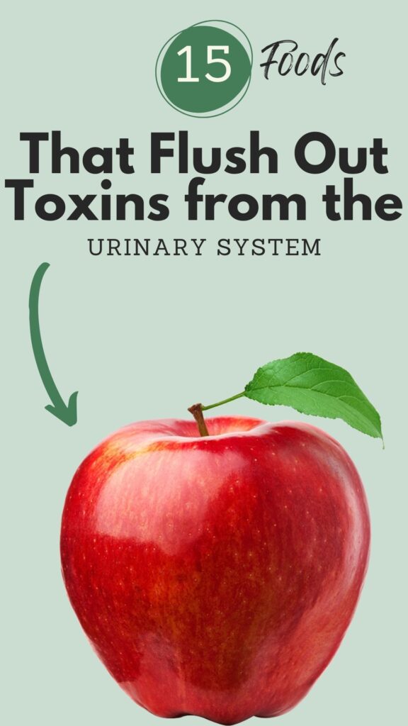 1. 15 Foods That Flush Out Toxins from the Urinary System