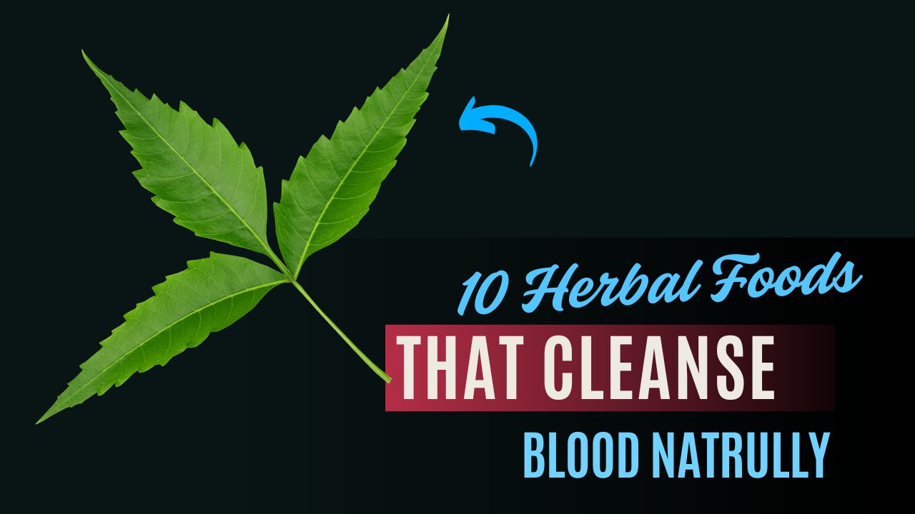 10 Herbal Foods That Cleanse the Blood Naturally