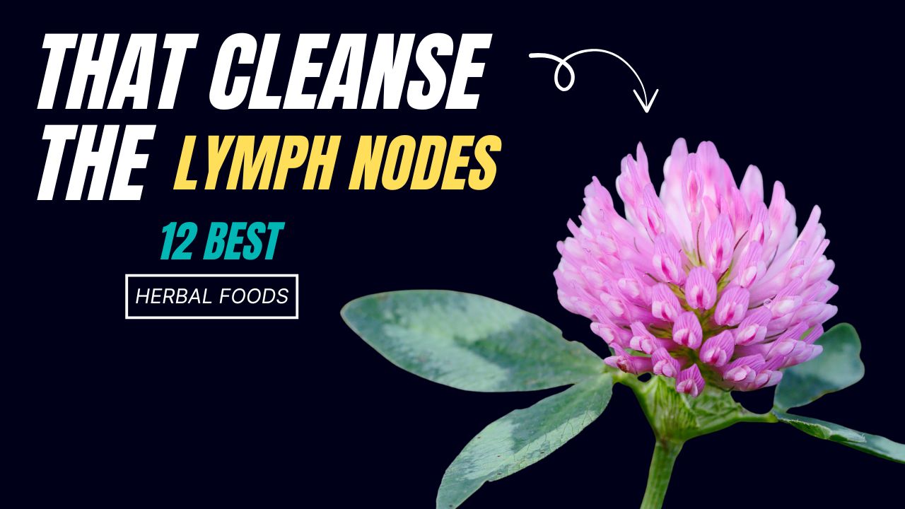 10 Herbal Foods That Cleanse the Lymph Nodes
