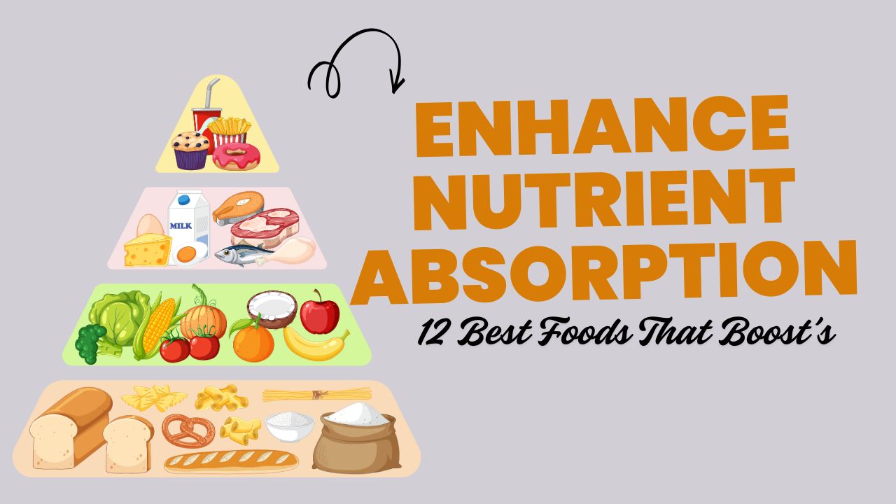 12 Foods That Enhance Nutrient Absorption