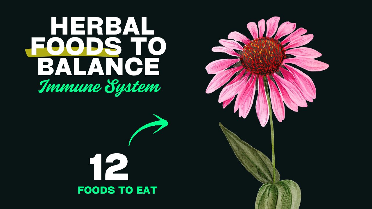 12 Herbal Foods That Balance the Immune System